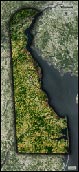 Delaware Satellite Image Map