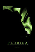 Florida Cool Map Poster