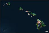 Hawaii Satellite Image Map