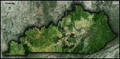 Kentucky Satellite Image Map
