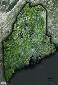 Maine Satellite Image Map