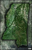 Mississippi Satellite Image Map