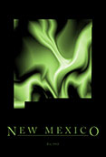New Mexico Cool Map Poster
