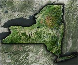 New York Satellite Image Map