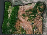 Oregon Satellite Image Map