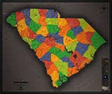 South Carolina Cool Colors Map