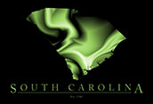 South Carolina Cool Map Poster