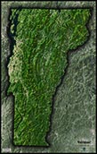 Vermont Satellite Image Map