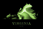 Virginia Cool Map Poster