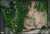 Washington Satellite Image Map