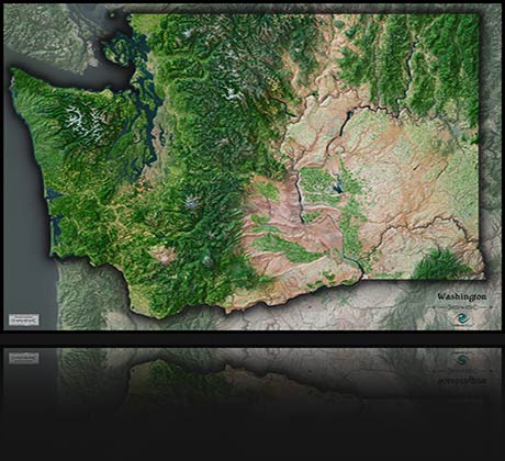 Washington State Satellite Map