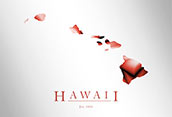 Artistic Poster of Hawaii Map