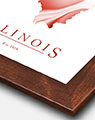 Illinois Artistic Map with Walnut Wood Frame