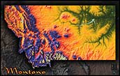 Topographic Montana Physical Wall Map