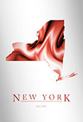 Artistic Poster of New York Map