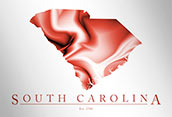 Artistic Poster of South Carolina Map