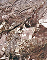 Detail View of Map No. TIJUA991 (1 of 2)