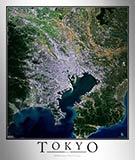 Aerial Image Satellite Map of Tokyo Poster