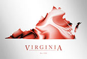 VA500 - Virginia Map Art