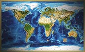 Satellite Image Map of the World