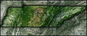 Tennessee Satellite Image Map