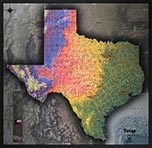 Texas Detailed Physical Map