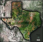 Texas Satellite Image Map