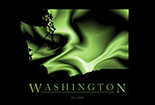 Washington Cool Map Poster