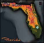 Topographic Physical Wall Map of Florida