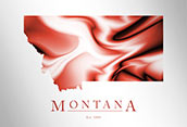 MT500 - Montana Map Art