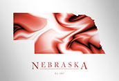 NE500 - Nebraska Map Art