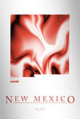 Artistic Poster of New Mexico Map