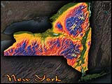 New York Topographic Physical Wall Map
