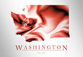 WA500 - Washington Map Art