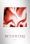 WY500 - Wyoming Map Art